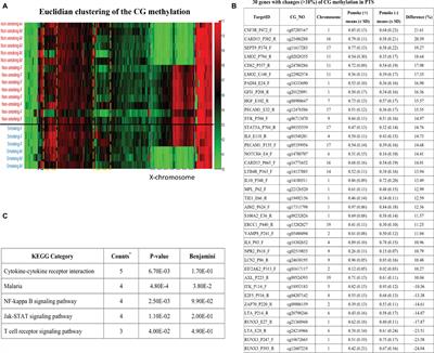 Paternal Tobacco Smoke Correlated to Offspring Asthma and Prenatal Epigenetic Programming